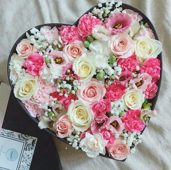 Sắc Hoa Tuổi Trẻ
