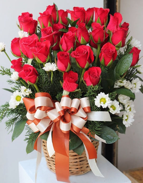 Sắc Đỏ Tình Yêu